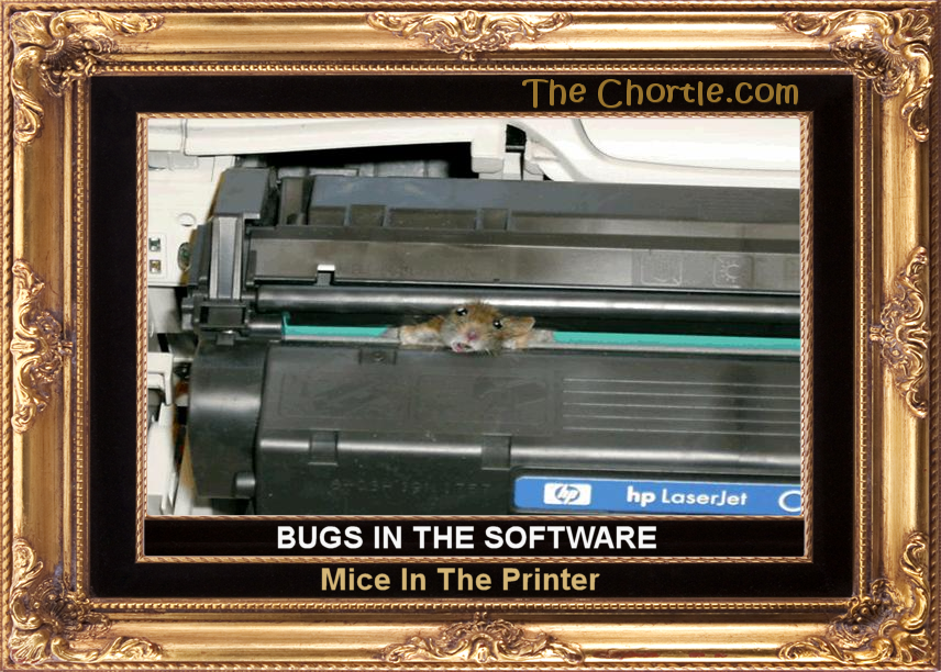Bugs in the sofware.  Mice in the printer.