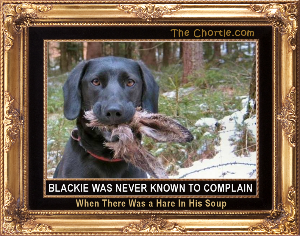 Blackie was never known to complain when there was a hare in his soup