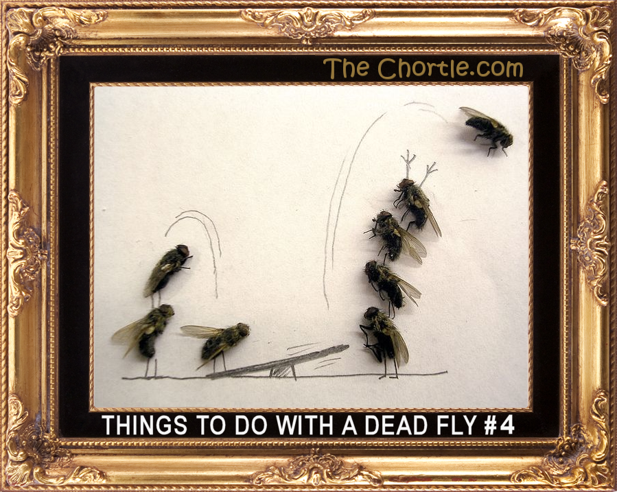 Things to do with a dead fly #4.