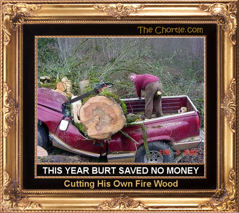 This year Burt saved no money cutting his own firewood.