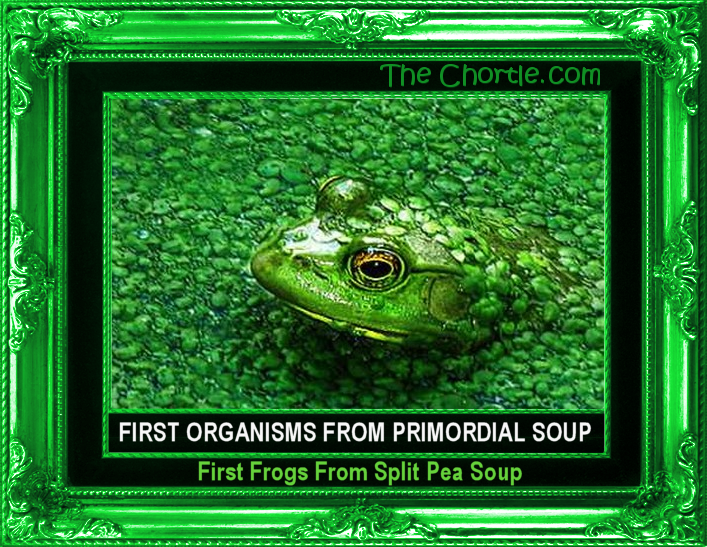 First organisms from primordial soup.  First frogs from split pea soup.