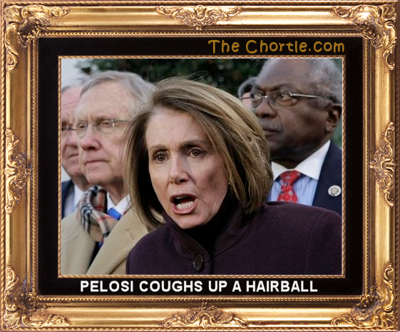 Pelosi coughs up a hair ball