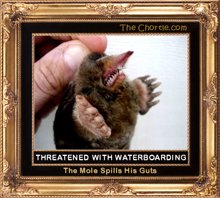 Threatened with waterboarding, the mole spills his guts.