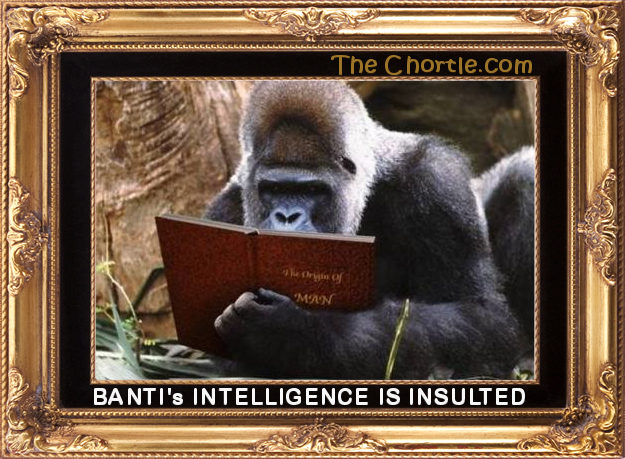 Banti's intelligence is insulted.