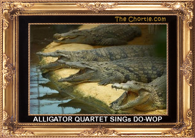 Alligator Quartet Sings Do-Wop.