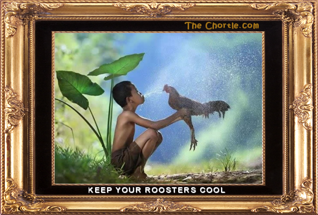 Keep your roosters cool.
