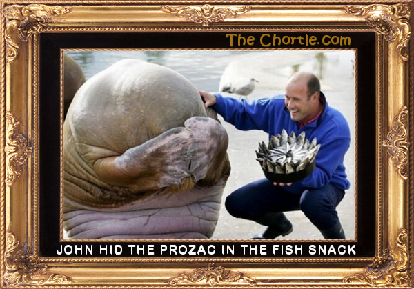 John hid the prozac in the fish snack.
