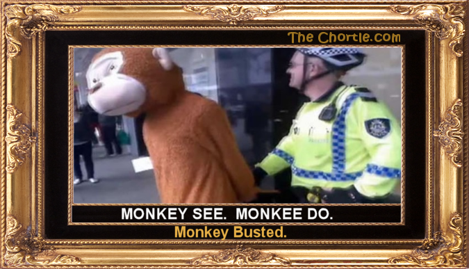 Monkey see. Monkey do. Monkey Busted.
