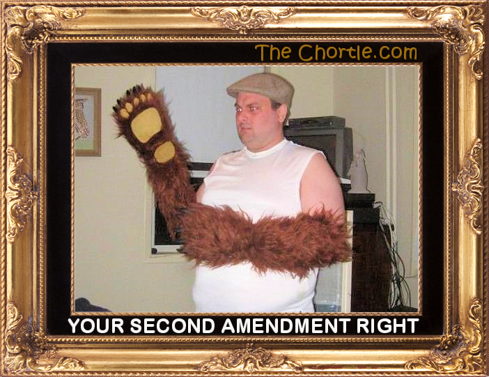 Your second amendment rights.
