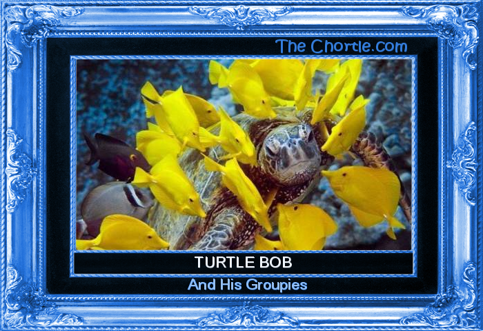 Turtle Bob and his groupies.