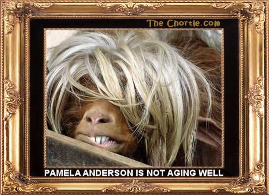 Pamela Anderson is not aging well.