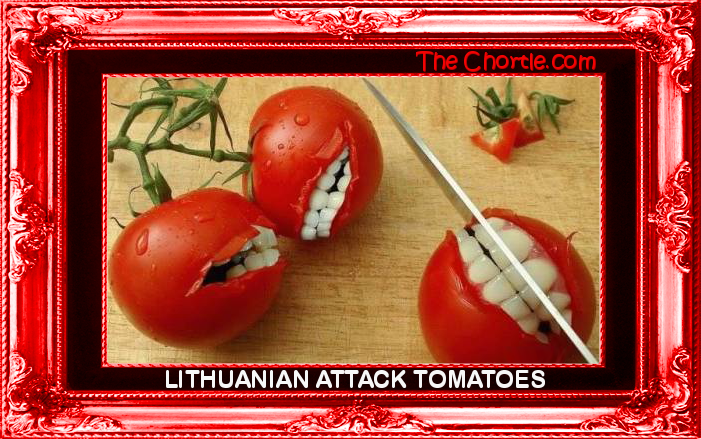 Lithuanian attack tomotoes.