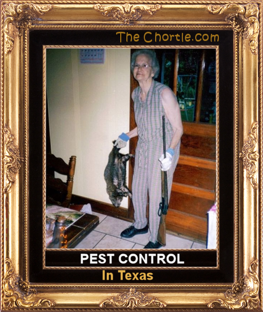 Pest control in Texas