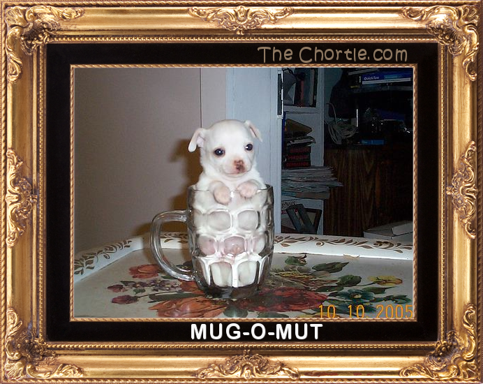 Mug-O-Mut
