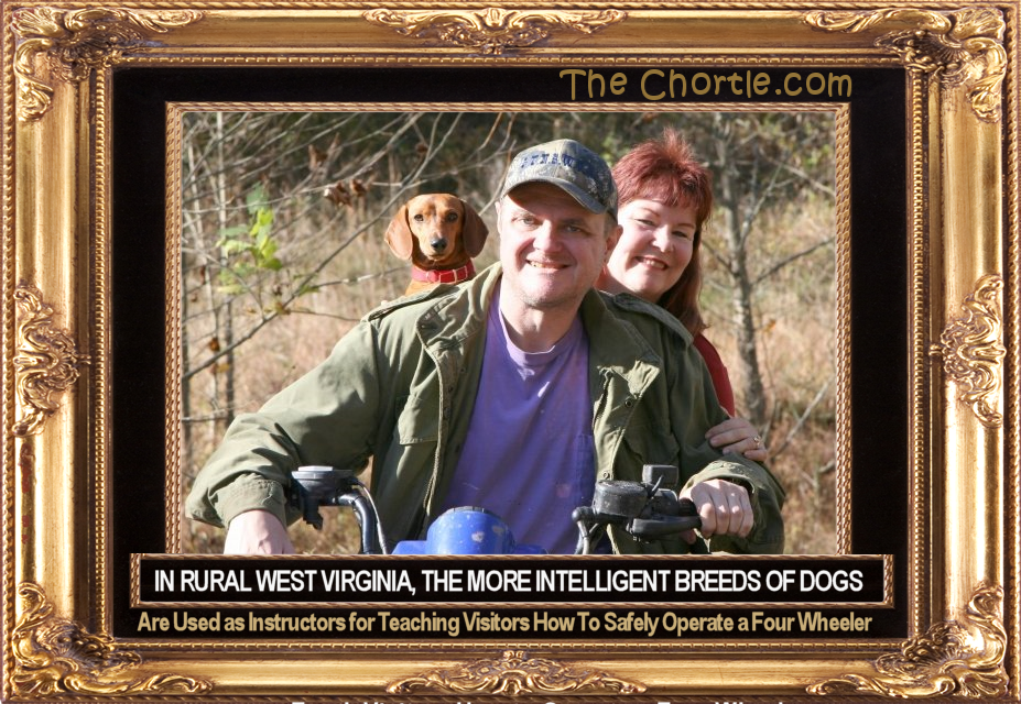 In rural West Virginia, the more intelligent breeds of dogs are used for teaching visitors how to safely operate a four wheeler.