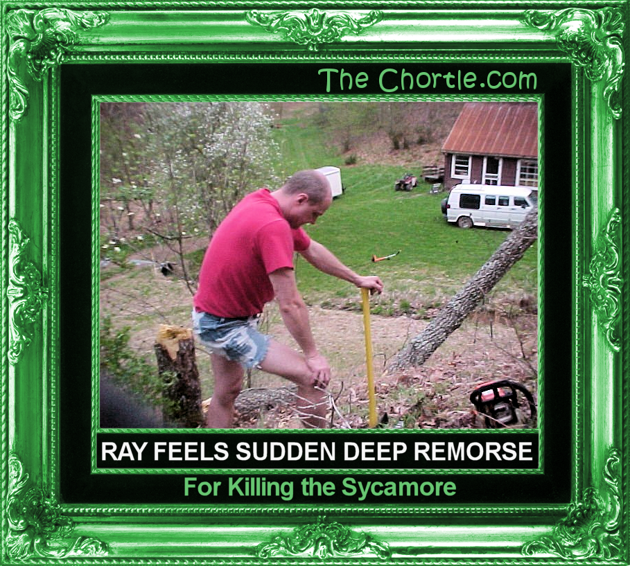 Ray feels sudden deep remores for killing the sycamore.