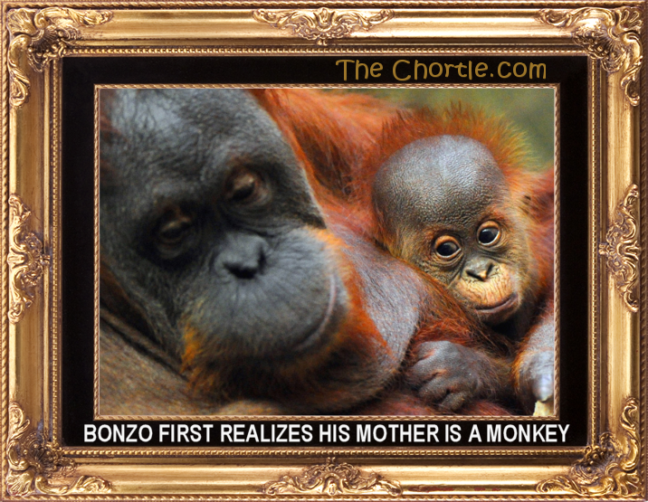 Bonzo first realized his mother is a monkey.