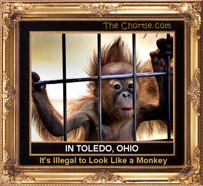 In Toledo, Ohio, it's illegal to look like a monkey.