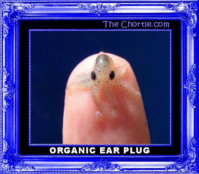 Organic ear plug.