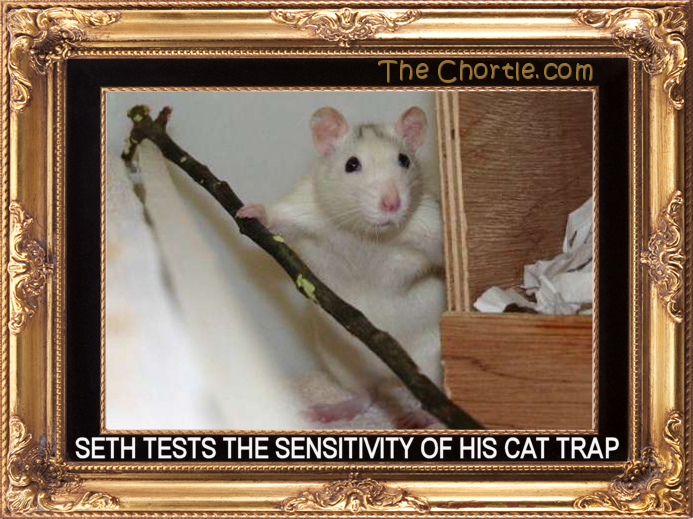 Seth tests the sensitivity of his cat trap.