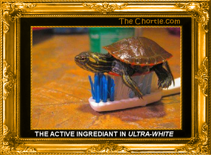 The active ingrediant in Ultra-White.