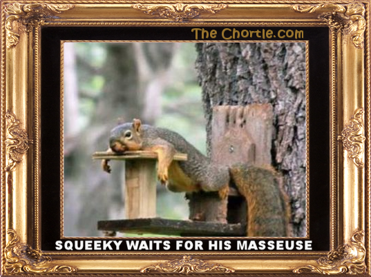 Squeeky waits for his masseuse