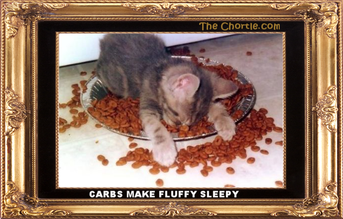 Carbs make Fluffy sleepy.