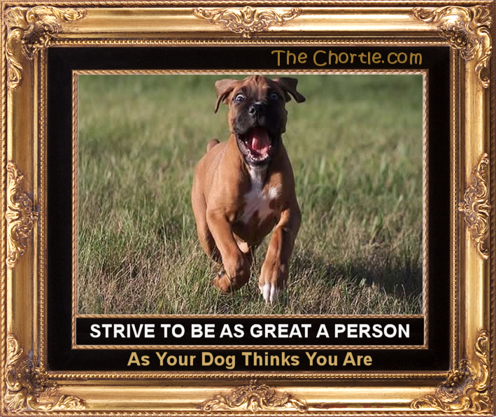 Strive to be as great as your dog thinks you are.
