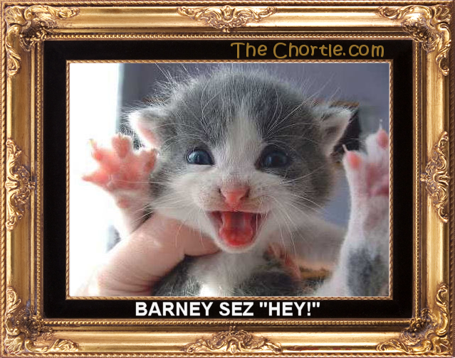 Barnie sez "hey!"
