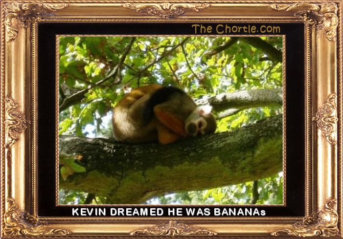 Kevin dreamed he was bananas.