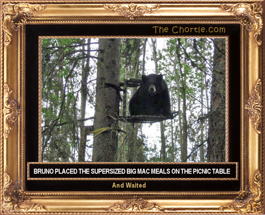 Bruno placed supersized Big Mac meals on the picnic table and waited.