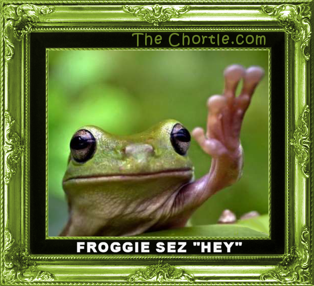 Froggie sez "hey!"