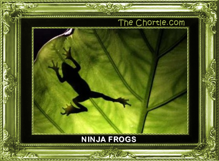 Ninja frogs