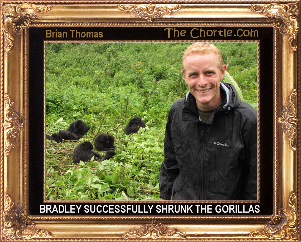 Bradley successfully shrunk the gorillas.