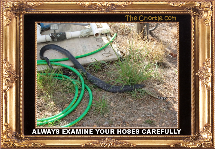 Always examine your hoses carefully.