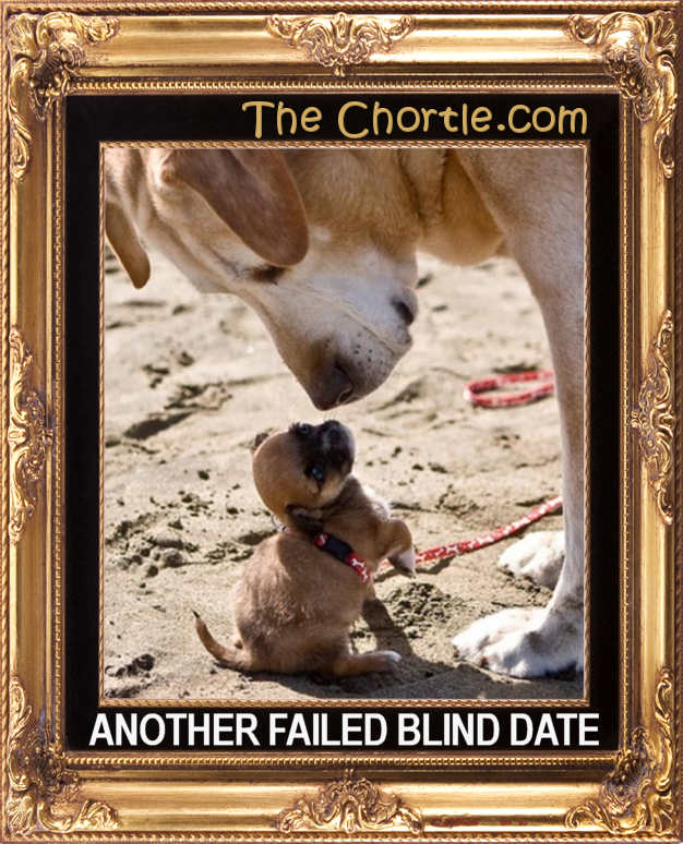 Another failed blind date.
