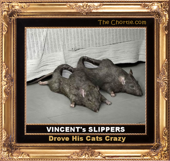 Vincent's slippers drove his cat's crazy.