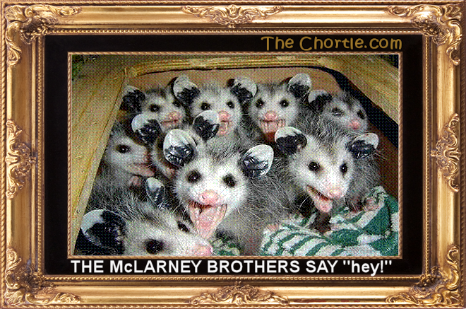 The McLarney brothers say "hey!"