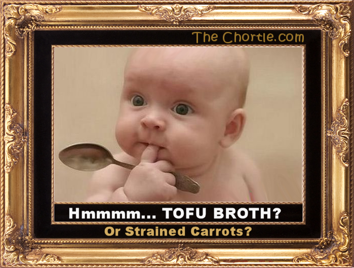 Hmmm. Tofu broth or strained carrots?