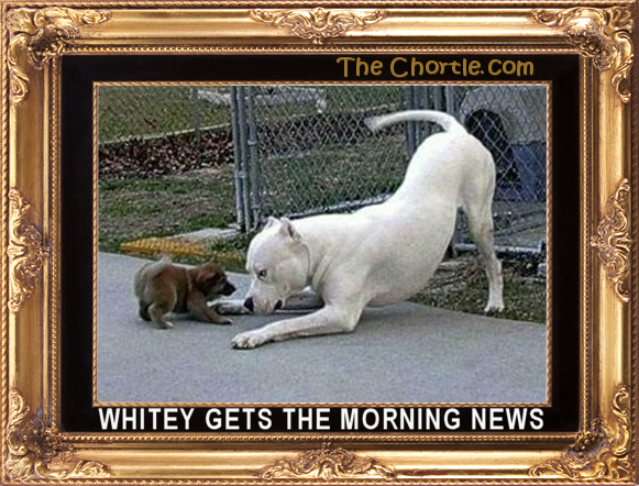 Whitey gets the morning news.