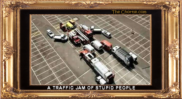 A traffic jam of stupid people