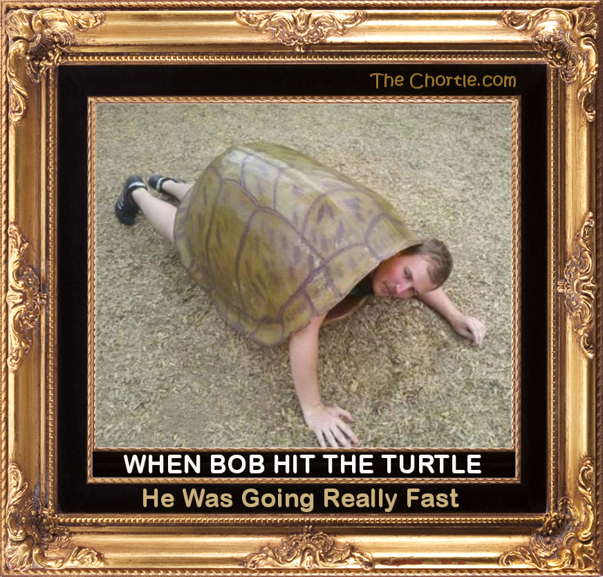 When Bob hit the turtle, he was going really fast.