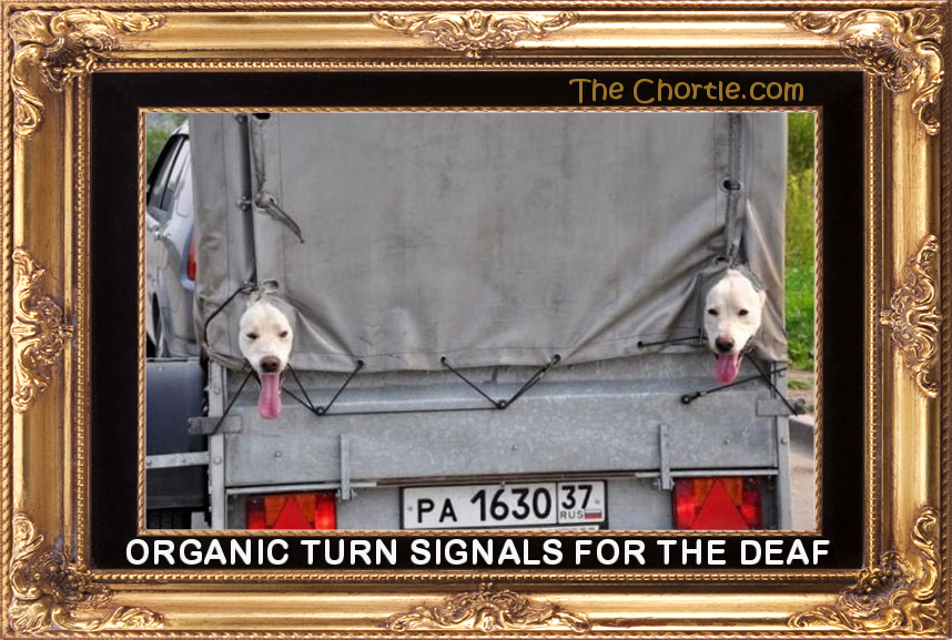 Organic turn signals for the deaf