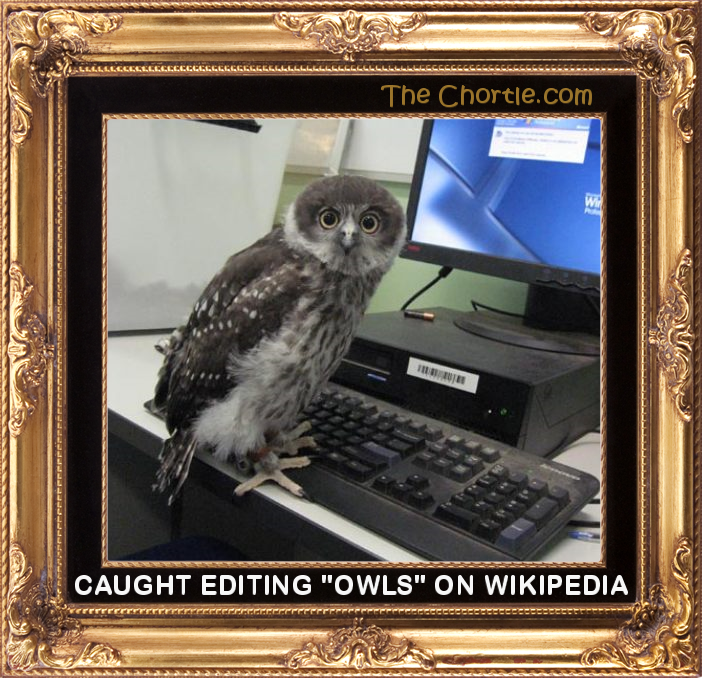 Caught editing "Owls" on Wikipedia