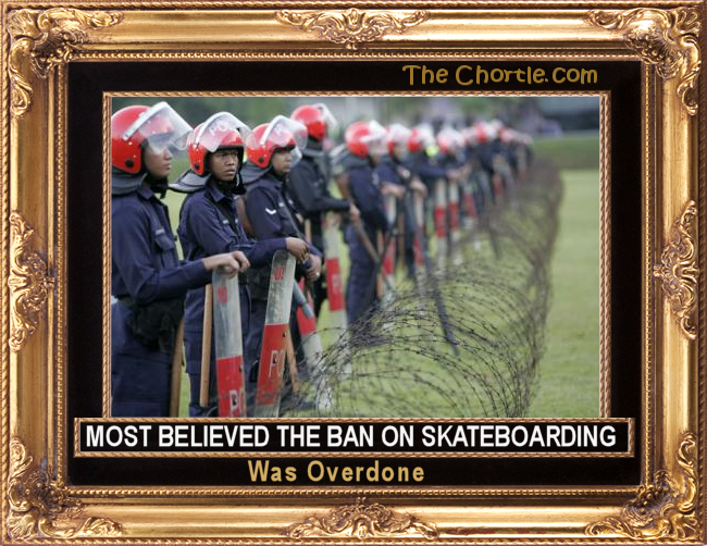 Most believed the ban on skateboarding was overdone.