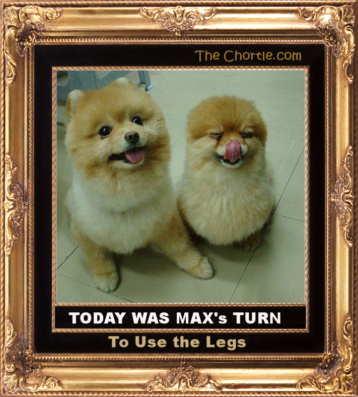 Today was Max's turn to use the legs.