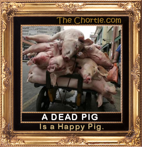A dead pig is a happy pig.