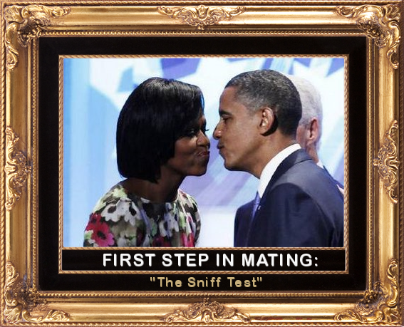 First step in mating: the sniff test