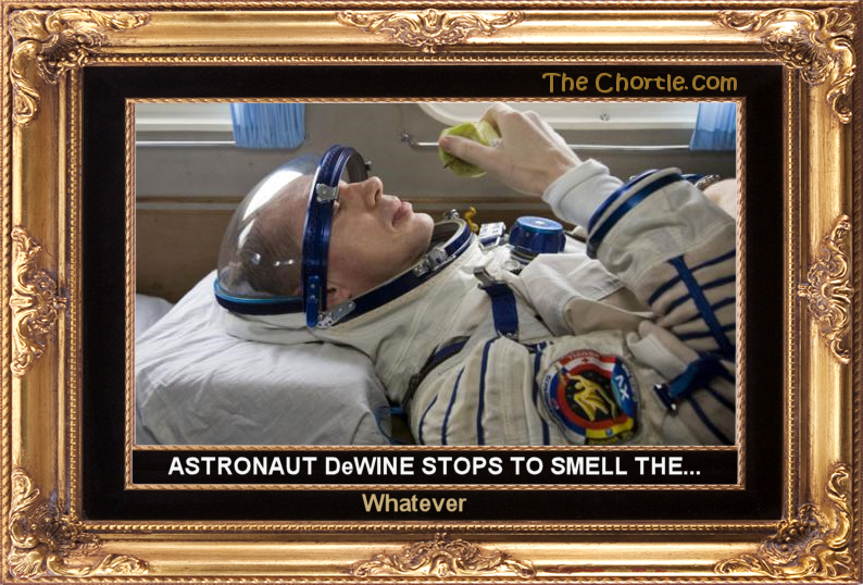 Astronaut DeWine stops to smell the ... whatever.