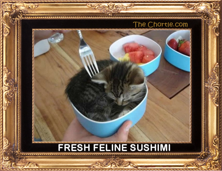Fresh feline sushimi